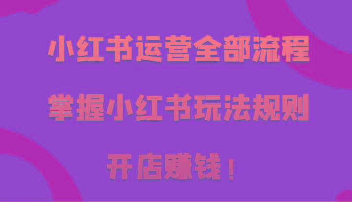 小红书运营全部流程，掌握小红书玩法规则，开店赚钱！-大熊网创