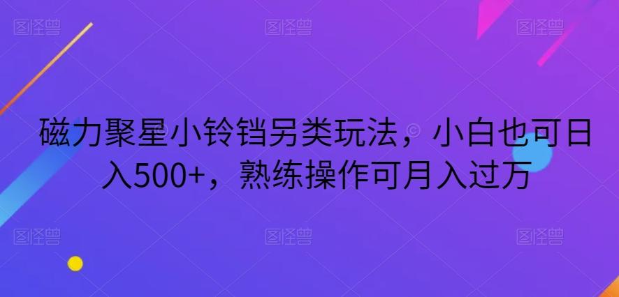 磁力聚星小铃铛另类玩法，小白也可日入500+，熟练操作可月入过万-大熊网创