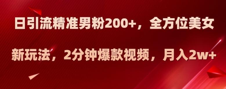日引流精准男粉200+，全方位美女新玩法，2分钟爆款视频，月入2w+【揭秘】-大熊网创