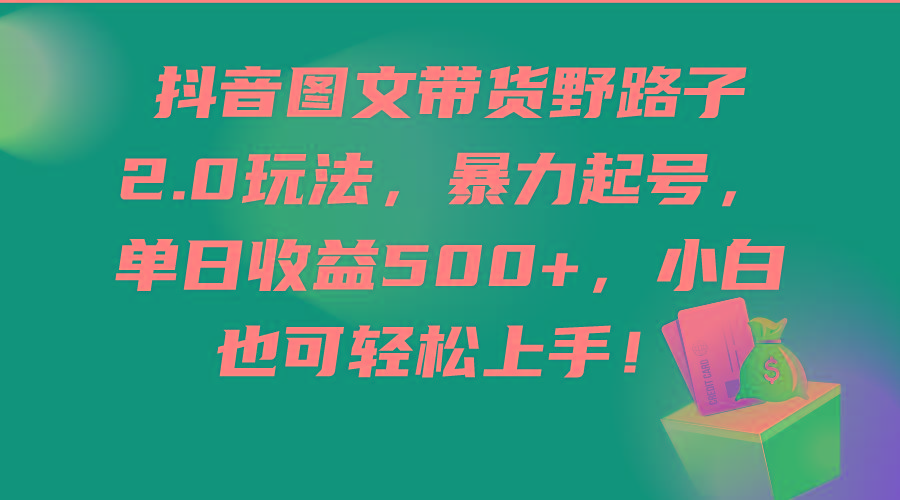 (9790期)抖音图文带货野路子2.0玩法，暴力起号，单日收益500+，小白也可轻松上手！-大熊网创