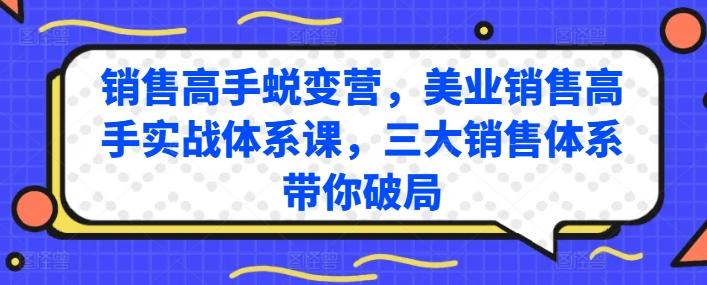 销售高手蜕变营，美业销售高手实战体系课，三大销售体系带你破局-大熊网创