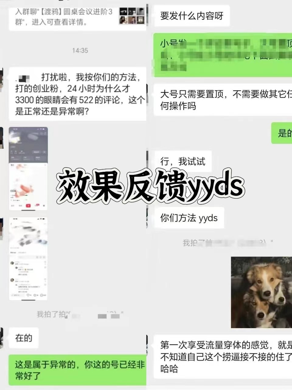 图片[3]-抖音小红书视频号全平台引流打法，全自动引流日引2000+精准客户-大熊网创