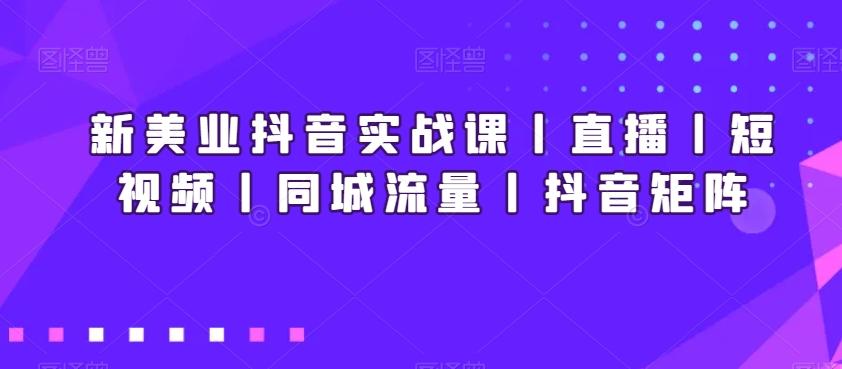 新美业抖音实战课丨直播丨短视频丨同城流量丨抖音矩阵-大熊网创