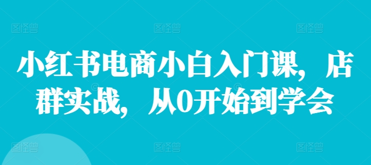 小红书电商小白入门课，店群实战，从0开始到学会-大熊网创