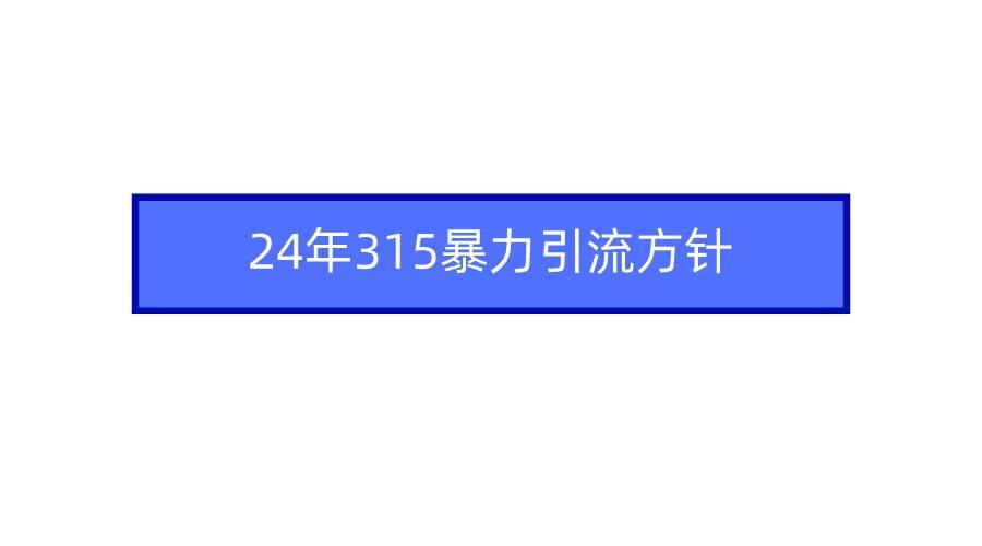 (9398期)2024年315暴力引流方针-大熊网创