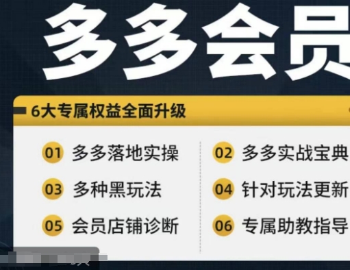 拼多多会员，拼多多实战宝典+实战落地实操，从新手到高阶内容全面覆盖-大熊网创