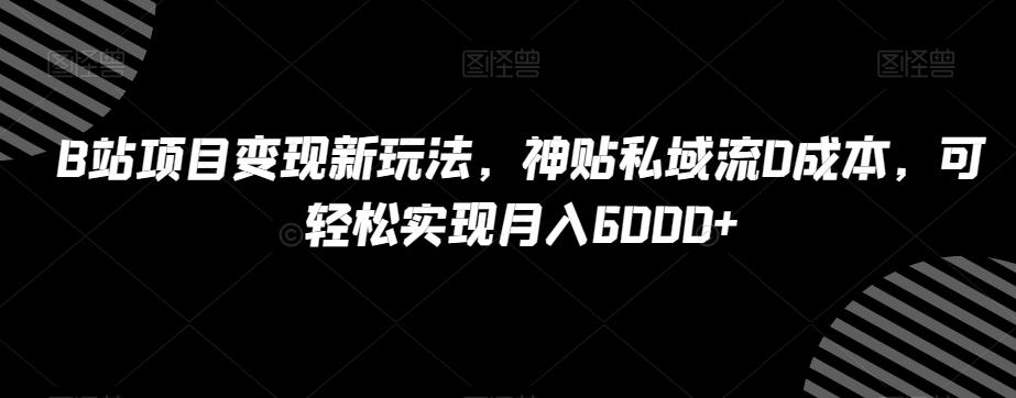B站项目变现新玩法，神贴私域流0成本，可轻松实现月入6000+【揭秘】-大熊网创