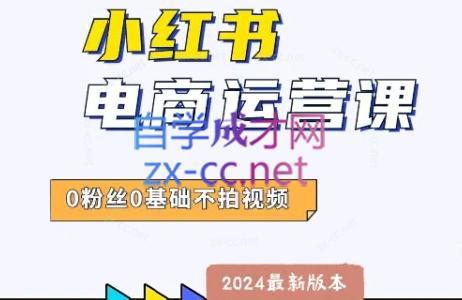 达哥·小红书电商运营(2024版)-大熊网创