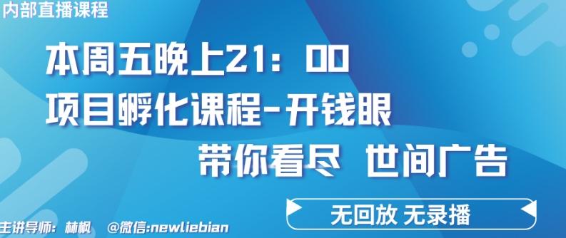 4.26日内部回放课程《项目孵化-开钱眼》赚钱的底层逻辑【揭秘】-大熊网创