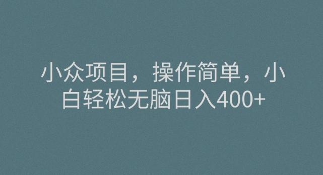 小众项目，操作简单，小白轻松无脑日入400+-大熊网创