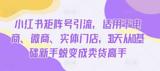 小红书矩阵号引流，适用于电商、微商、实体门店，30天从0基础新手蜕变成卖货高手-网创星球
