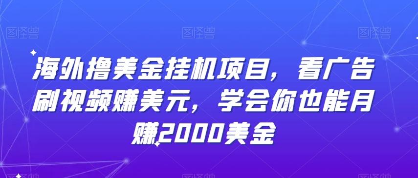 海外撸美金挂机项目，看广告刷视频赚美元，学会你也能月赚2000美金-网创星球