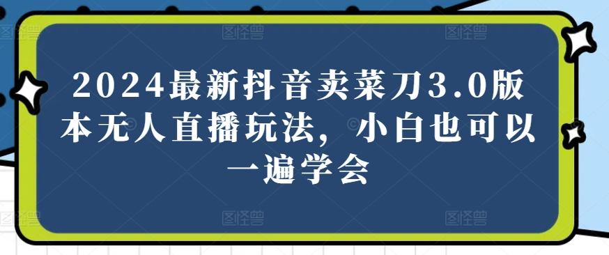 2024最新抖音卖菜刀3.0版本无人直播玩法，小白也可以一遍学会【揭秘】-大熊网创