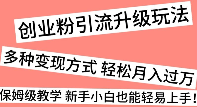 创业粉引流升级玩法，多种变现方式轻松月入过万，保姆级教学新手小白也能轻易上手！-大熊网创