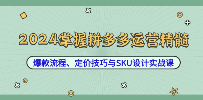 2024掌握拼多多运营精髓：爆款流程、定价技巧与SKU设计实战课-网创星球