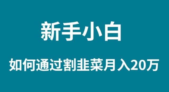 (9308期)新手小白如何通过割韭菜月入 20W-网创星球