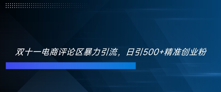 双十一电商评论区暴力引流，日引500+精准创业粉【揭秘】-大熊网创