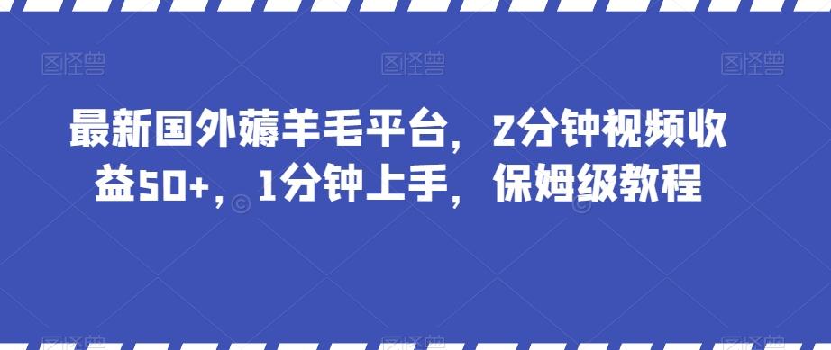 最新国外薅羊毛平台，2分钟视频收益50+，1分钟上手，保姆级教程【揭秘】-大熊网创