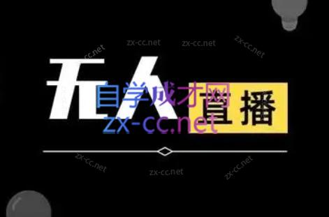 宝子哥·无人直播-非实时防风技术(更新9月)-大熊网创