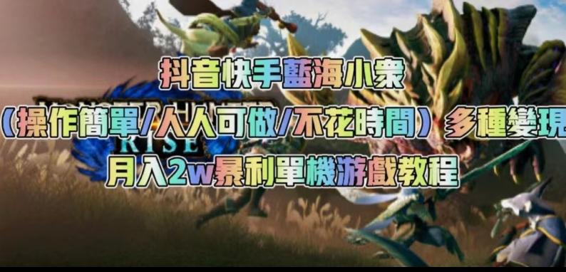 抖音快手蓝海小众（操作简单人人可做不花时间）多种变现月入2w＋暴利单机游戏教程-大熊网创