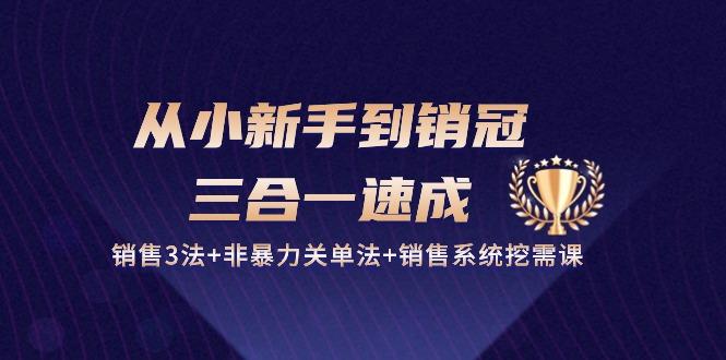 从小新手到销冠 三合一速成：销售3法+非暴力关单法+销售系统挖需课 (27节-网创星球