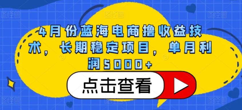 4月份蓝海电商撸收益技术，长期稳定项目，单月利润5000+【揭秘】-大熊网创