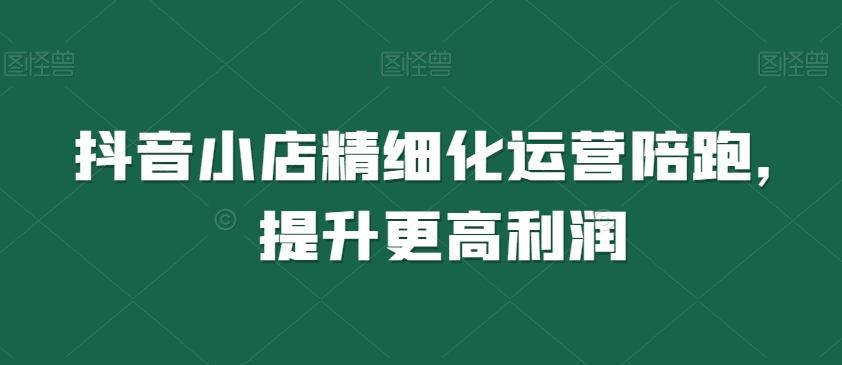 抖音小店精细化运营陪跑，提升更高利润-大熊网创