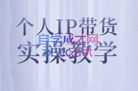 萌神姐姐·个人IP真人出镜短视频实操课-大熊网创