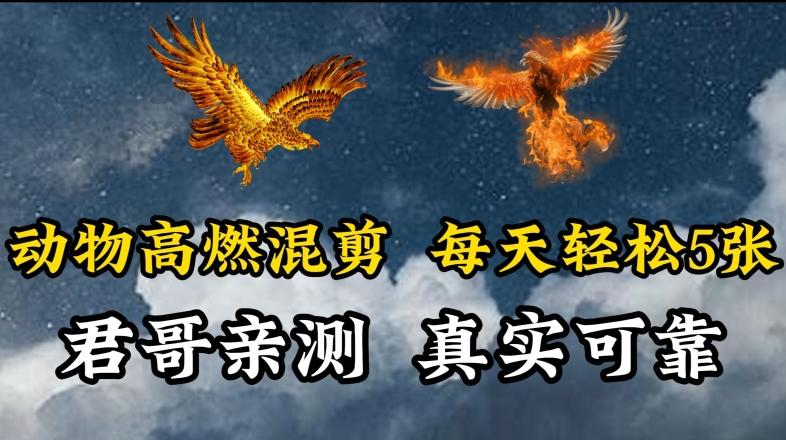 动物超燃混剪，每天轻松5张，剪辑简单大家爱看【揭秘】-大熊网创