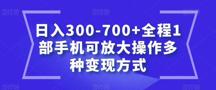 日入300-700+全程1部手机可放大操作多种变现方式【揭秘】-大熊网创