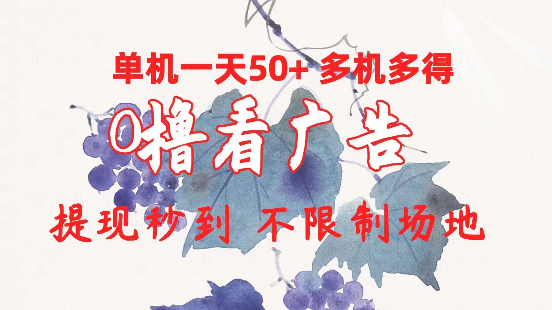0撸看广告 单机一天50+多机多得 提现秒到 不限制场地操作-大熊网创