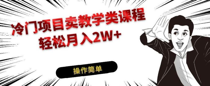 冷门项目卖教学类课程，轻松月入2W+-大熊网创