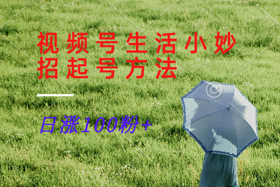 视频号生活小妙招分享赛道， 起号涨粉新方法，日涨100粉-大熊网创