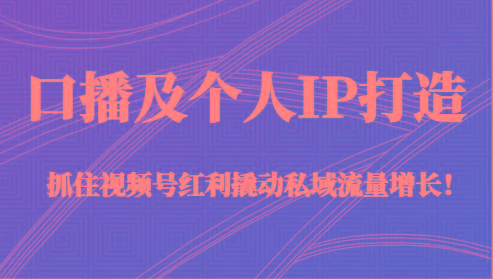 口播及个人IP打造，抓住视频号红利撬动私域流量增长！（45节课）-大熊网创
