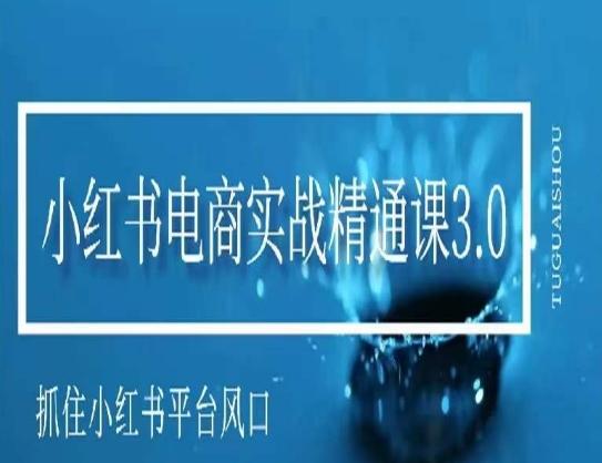 小红书电商实战精通课3.0，抓住小红书平台的风口，不错过有一个赚钱的机会-大熊网创
