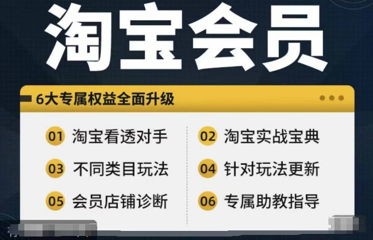 淘宝会员【淘宝所有课程，全面分析对手】，初级到高手全系实战宝典-大熊网创