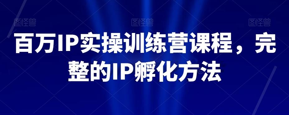 百万IP实操训练营课程，完整的IP孵化方法-大熊网创
