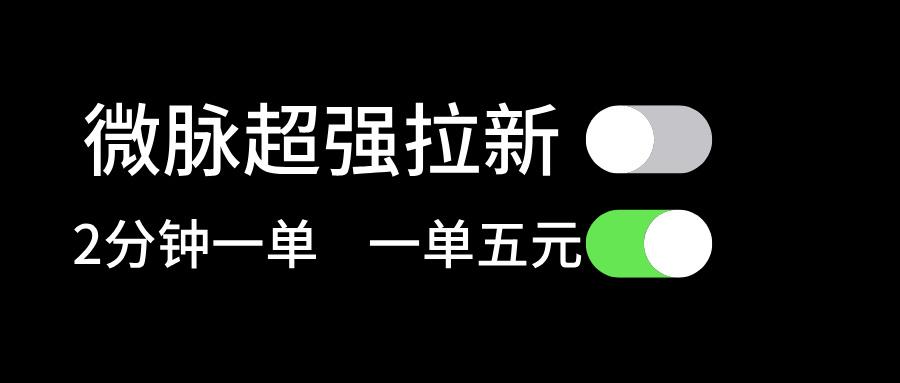 微脉超强拉新， 两分钟1单， 一单利润5块，适合小白-大熊网创