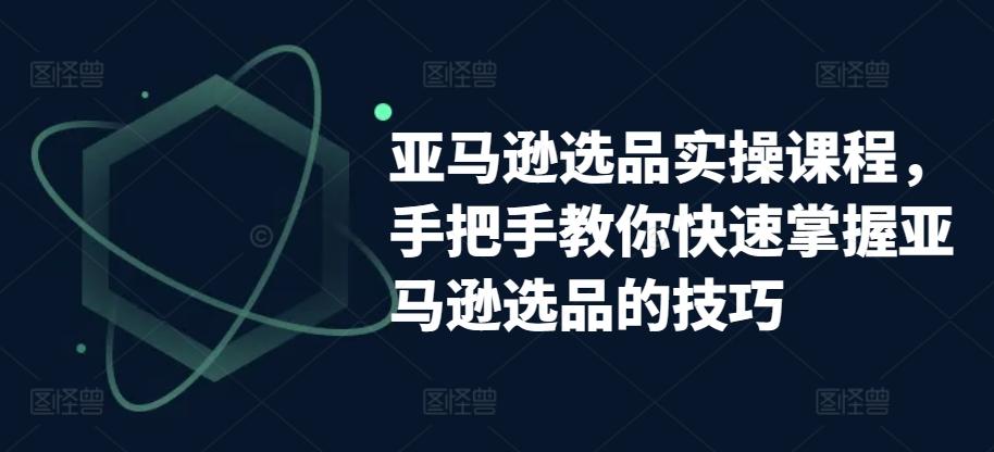 亚马逊选品实操课程，手把手教你快速掌握亚马逊选品的技巧-大熊网创