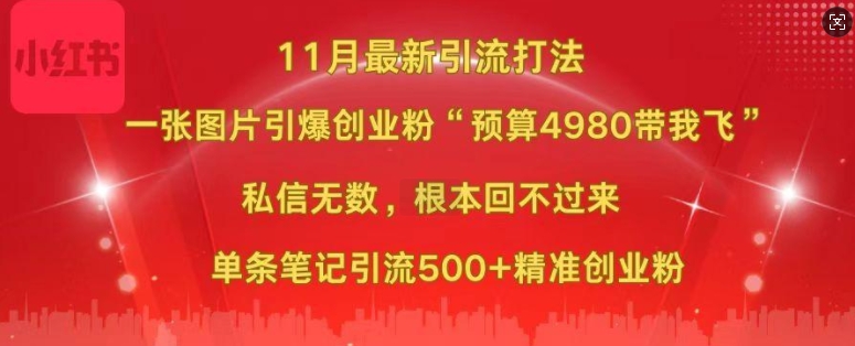 小红书11月最新图片打粉，一张图片引爆创业粉，“预算4980带我飞”，单条引流500+精准创业粉-大熊网创
