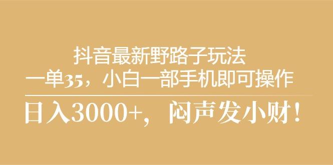 抖音最新野路子玩法，一单35，小白一部手机即可操作，，日入3000+，闷…-大熊网创