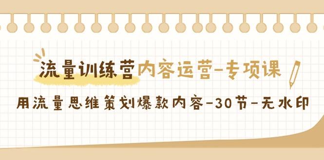 流量训练营之内容运营专项课，用流量思维策划爆款内容(30节课)-大熊网创