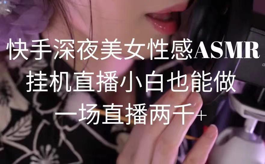 快手深夜美女性感ASMR挂机直播，小白也能做，一场直播两千+-大熊网创