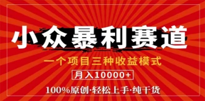 视频号最新爆火赛道，三种可收益模式，0粉新号条条原创条条热门 日入1000+-大熊网创