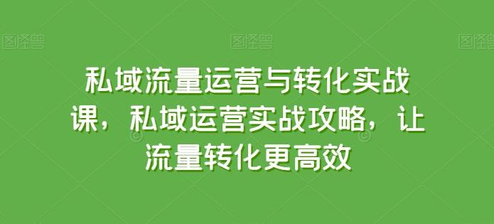 私域流量运营与转化实战课，私域运营实战攻略，让流量转化更高效-大熊网创