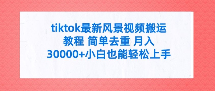 tiktok最新风景视频搬运教程 简单去重 月入3W+小白也能轻松上手【揭秘】-大熊网创