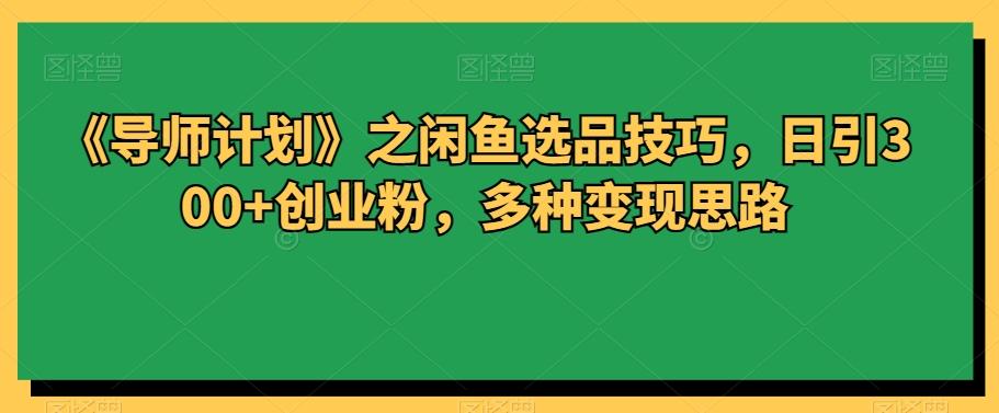 《导师计划》之闲鱼选品技巧，日引300+创业粉，多种变现思路-大熊网创