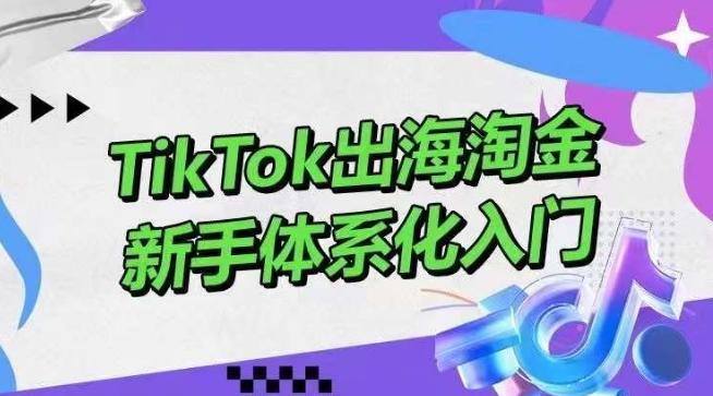 TikTok出海淘金，新手体系化入门，零基础快速入门，掌握短视频、直播带货等引流到变现的知识-大熊网创