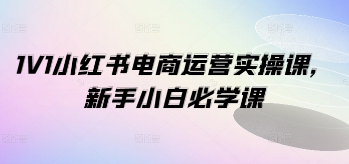 1V1小红书电商运营实操课，新手小白必学课-大熊网创