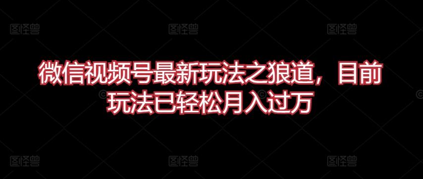 微信视频号最新玩法之狼道，目前玩法已轻松月入过万【揭秘】-大熊网创